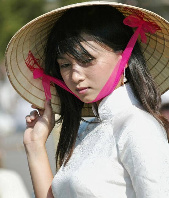 黑色大丽花
